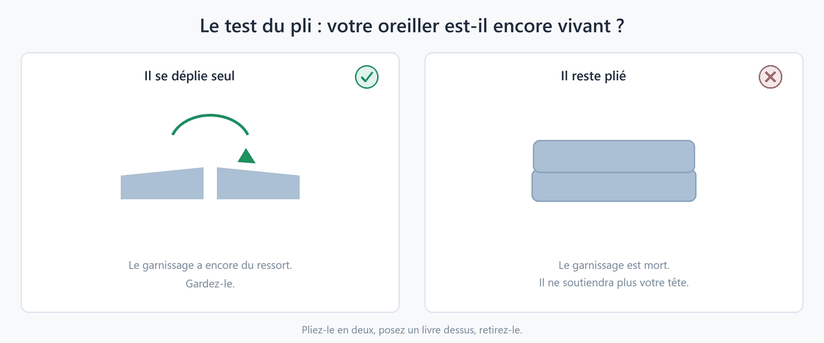 Le test du pli : un oreiller vivant se rouvre seul dès qu'on le libère. Un oreiller mort reste plié.