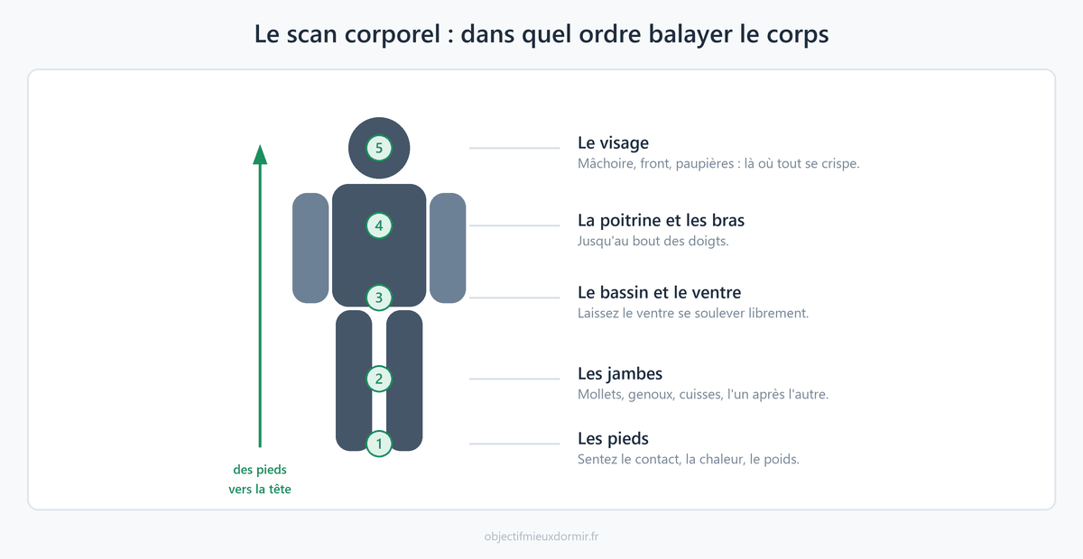 Le scan corporel : l'ordre dans lequel balayer le corps, des pieds vers la tête