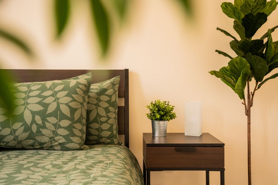 Des plantes dans la chambre : vraie aide au sommeil ou idée reçue ?