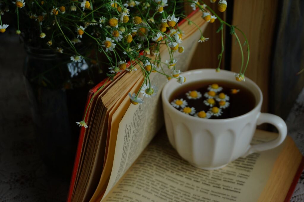 Tisane aux plantes pour le sommeil